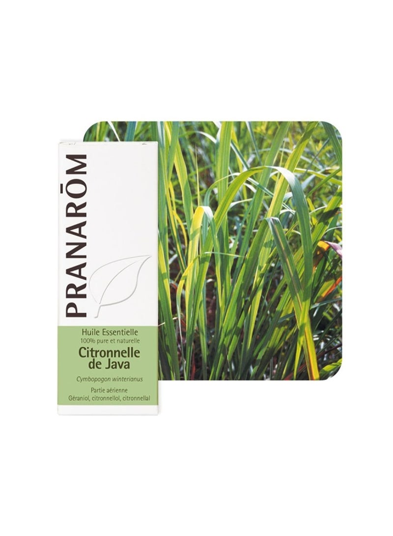 PRANAROM Pranarôm Bio Essential Oil Java Citronnella (Cymbopogon winterianus) 10ml - Image 2